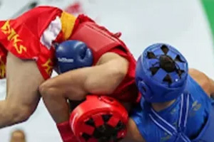 Why Isn’t Sanda Martial Arts a More Popular Discipline in MMA?