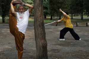 Where to Study Martial Arts in China?