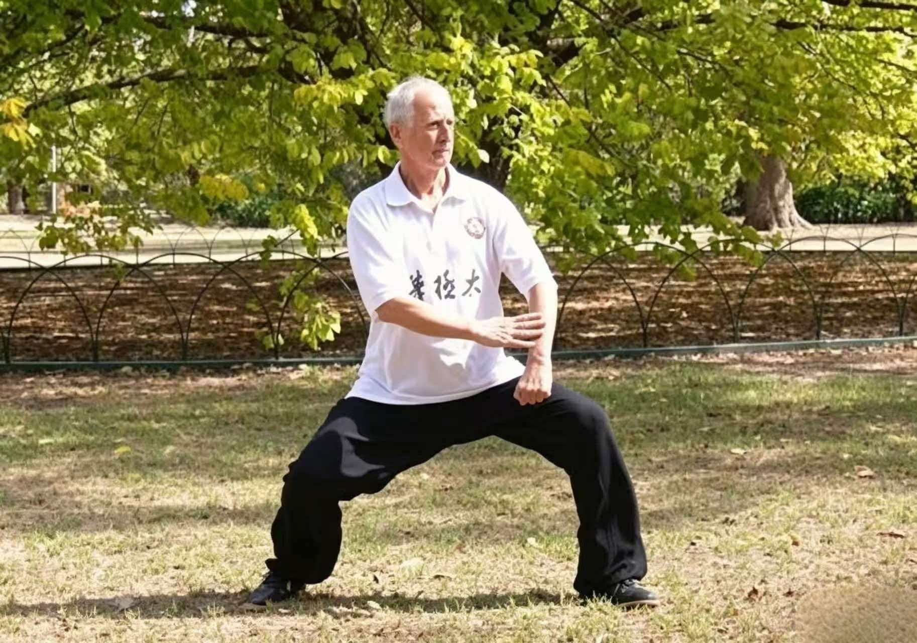 Taichi at SJF Kung Fu School Your Gateway to Authentic Chinese Martial Arts