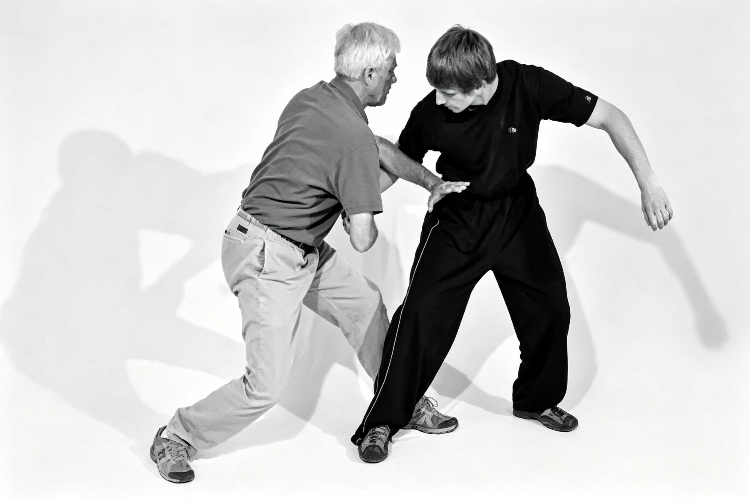 What Is The Liuhebafa Martial Arts?
