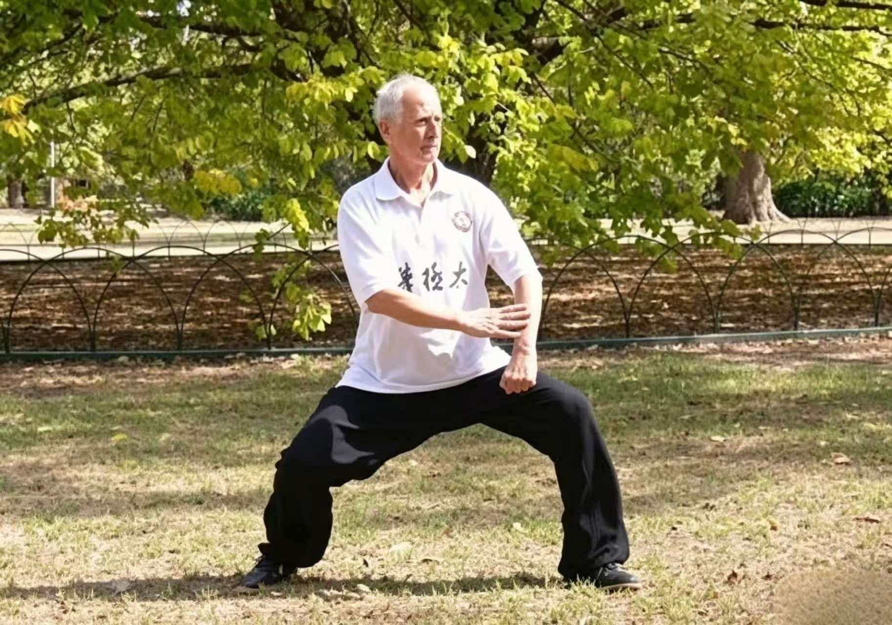 Taichi at SJF Kung Fu School Your Gateway to Authentic Chinese Martial Arts