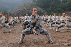 Top 8 Authentic Kung Fu Training Camps in China (2025 Guide)