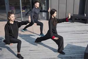 What Are The Best Online Tai Chi Classes​?