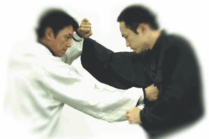 Shaolin Kung Fu Xinyi Liuhe Quan Introduction