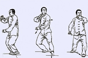 How To Learn Tai Chi 8 Form?