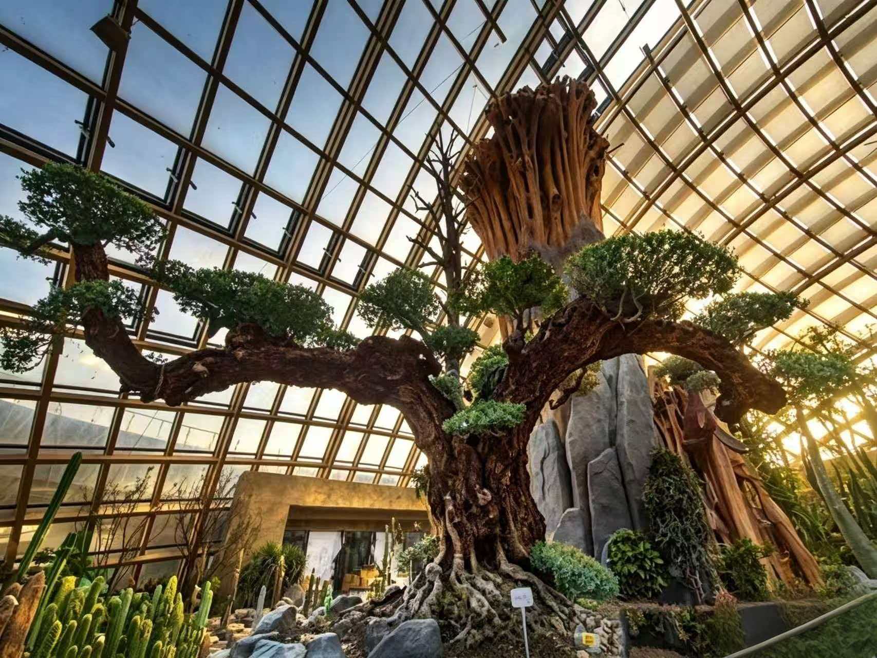 Taiyuan Botanical Garden