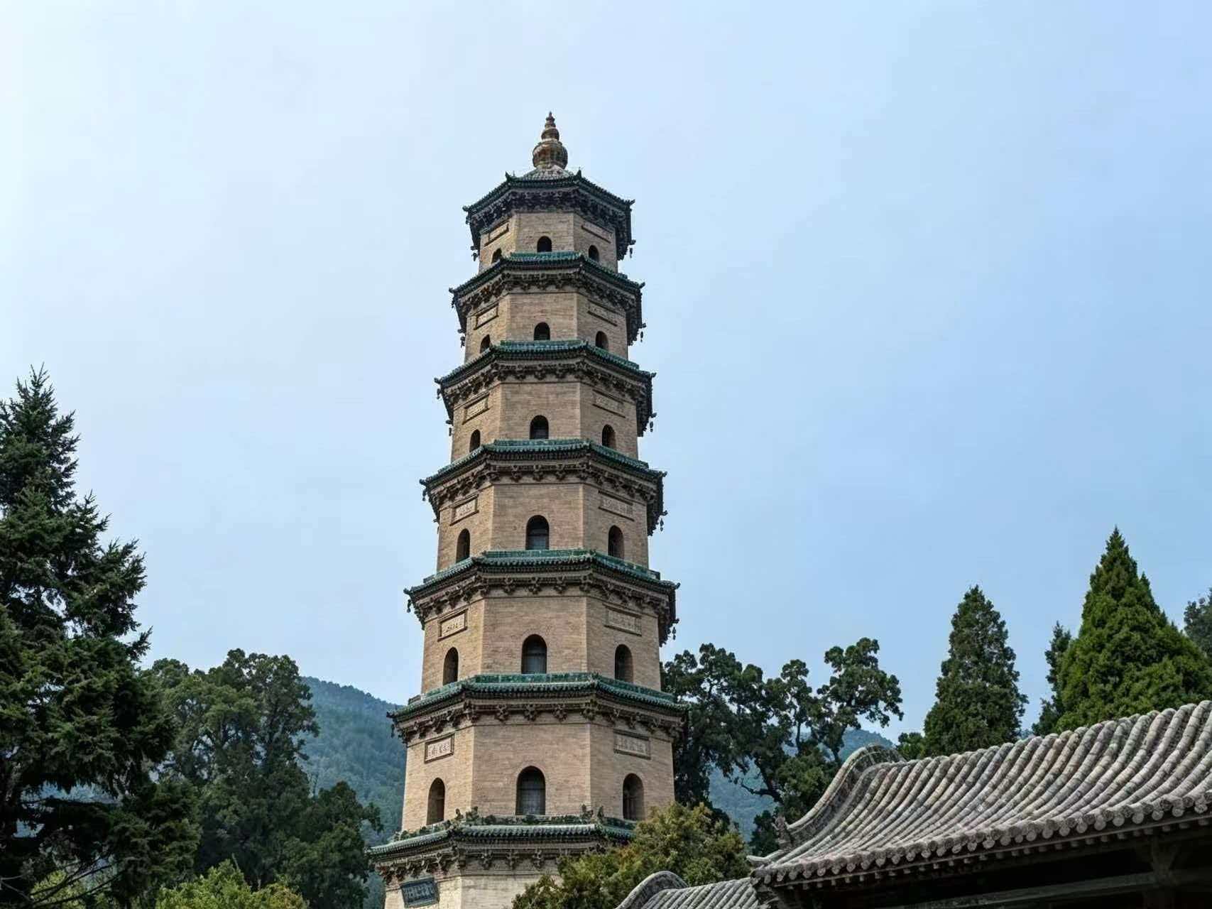 Jin Ci 