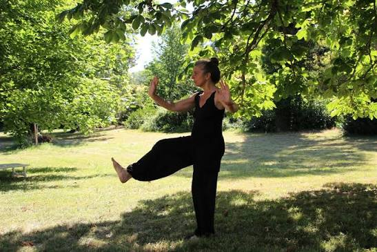 taichi