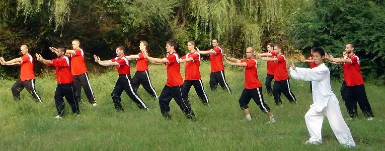 taichi taichi