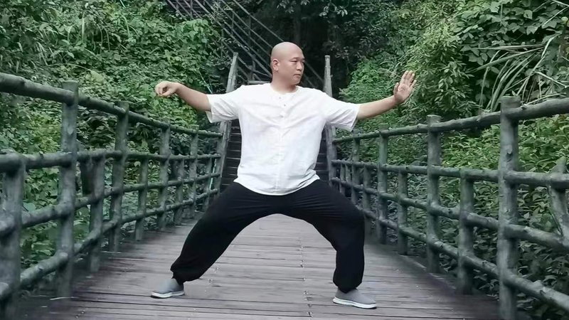 taichi taichi