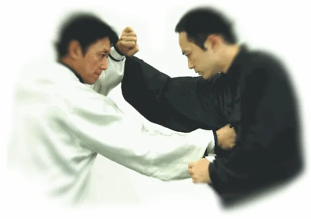 xinyi liuhe quan