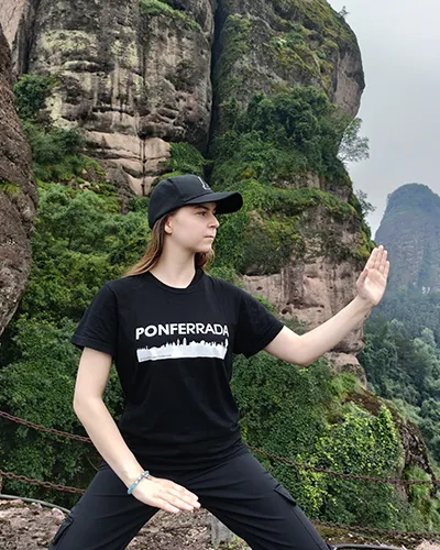 108 Form Tai Chi Informaion