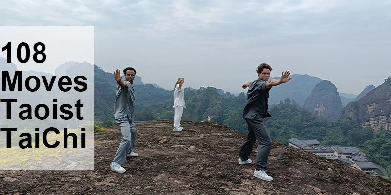 108 Moves Taoist Tai Chi