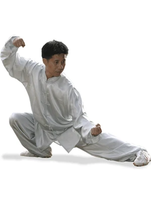 Chen Style Tai Chi