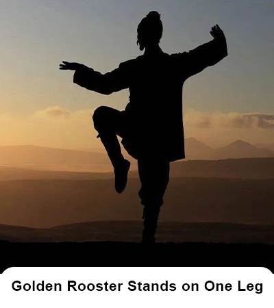Golden Rooster Stands on One Leg
