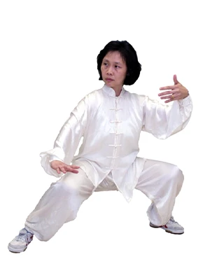 Hao Style Tai Chi