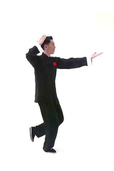 Tai Chi Dào Juǎn Gōng