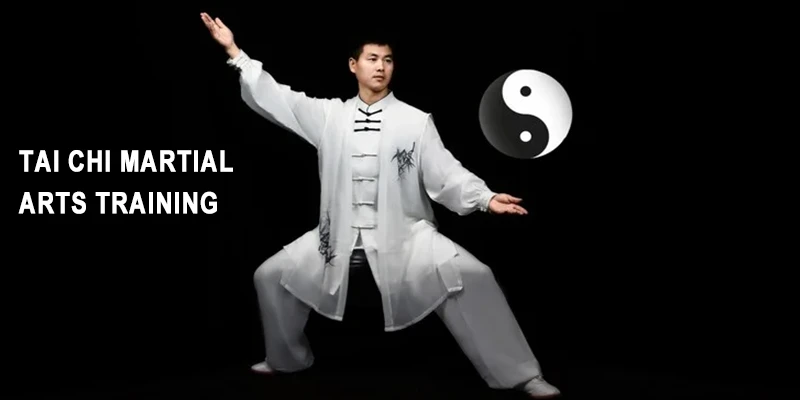 Tai Chi Martial Arts Training