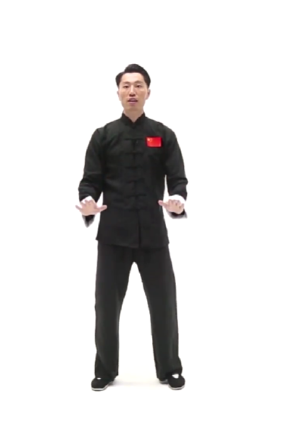 Tai Chi Shōushì