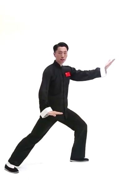 Tai Chi Yě Mǎ Fēn Zōng