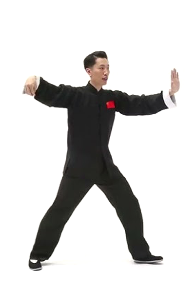 Tai Chi Yún Shǒu