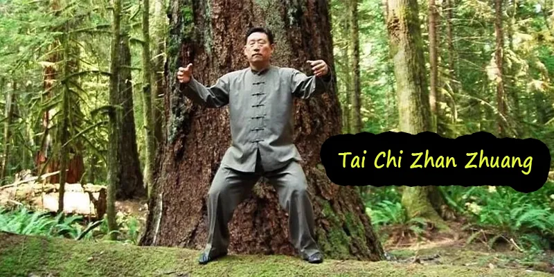 Tai Chi Zhan Zhuang