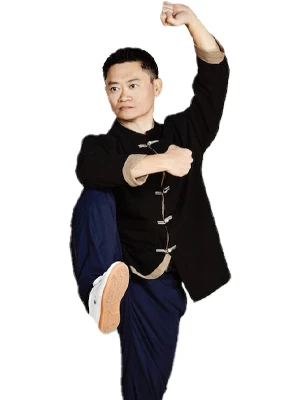 Wu Style Tai Chi