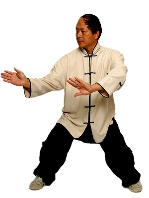 Yang Style Tai Chi