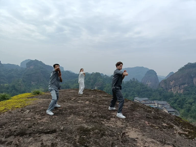 students pratising tai chi moves with tai chi master shen jiangfei