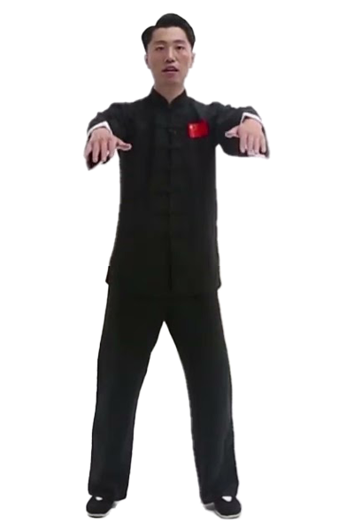 Tai Chi Qǐshì