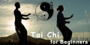 tai chi for beginners