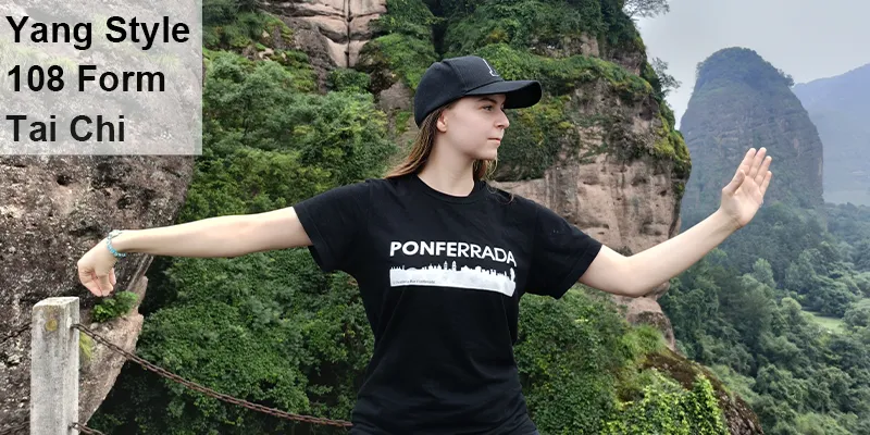 Yang Style 108 Form Tai Chi