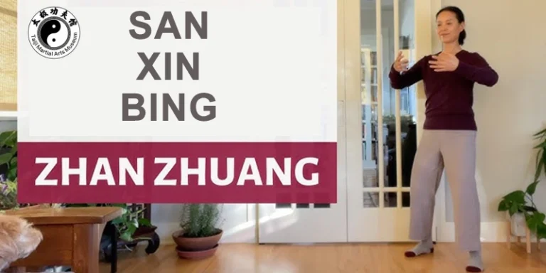 San Xin Bìng Zhan Zhuang