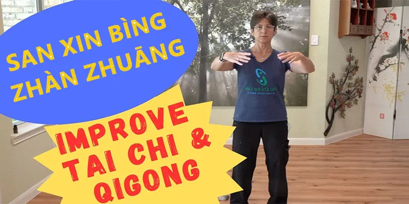 San Xin Bìng Zhàn Zhuāng Introduction