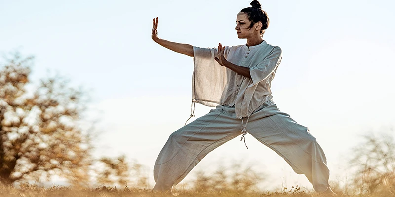 Tai Chi Push Hands Exercises