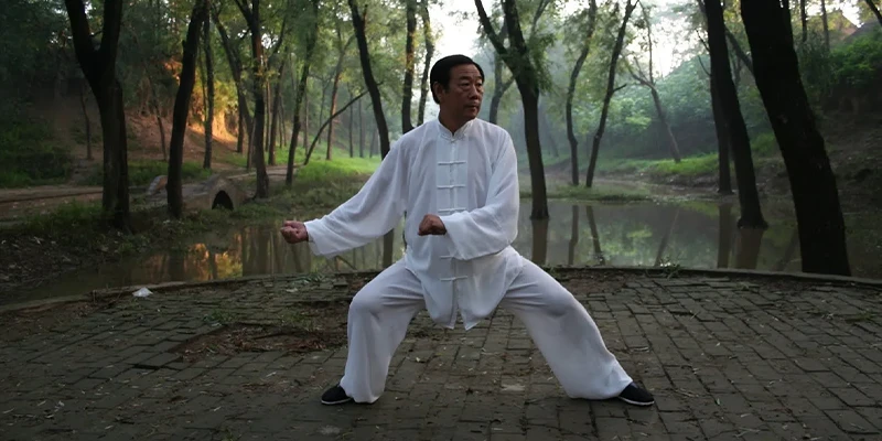 Tai Chi Push Hands Training