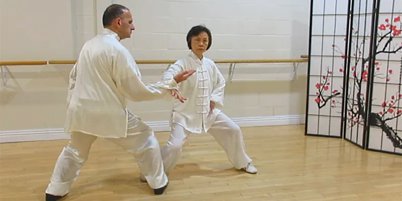 Chen Push Hands
