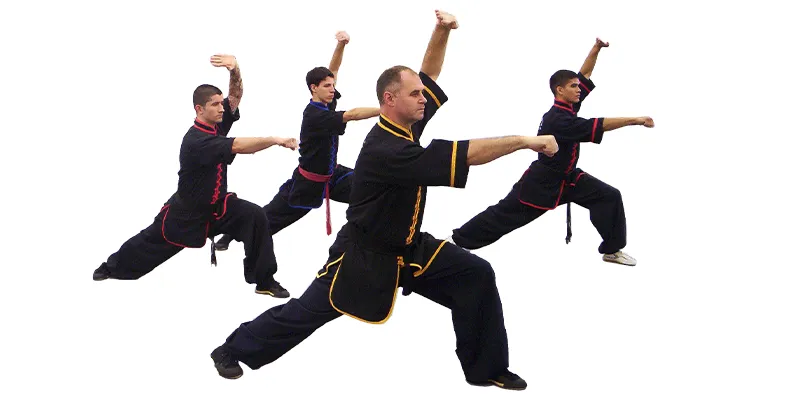 Modern Liuhe Bafa Learning