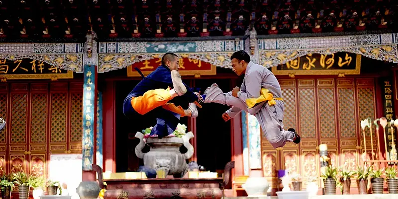 Shaolinquan Training Cases