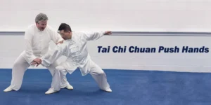 Tai Chi Chuan Push Hands