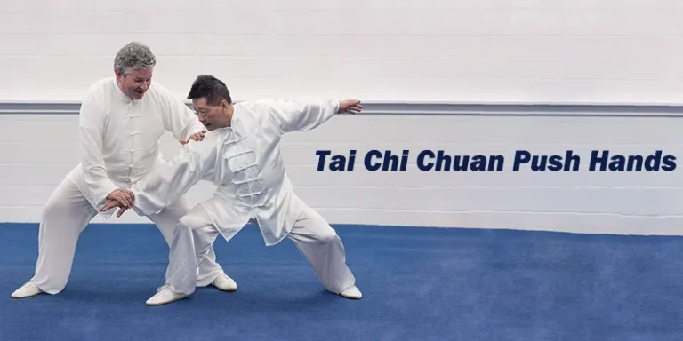 Tai Chi Chuan Push Hands