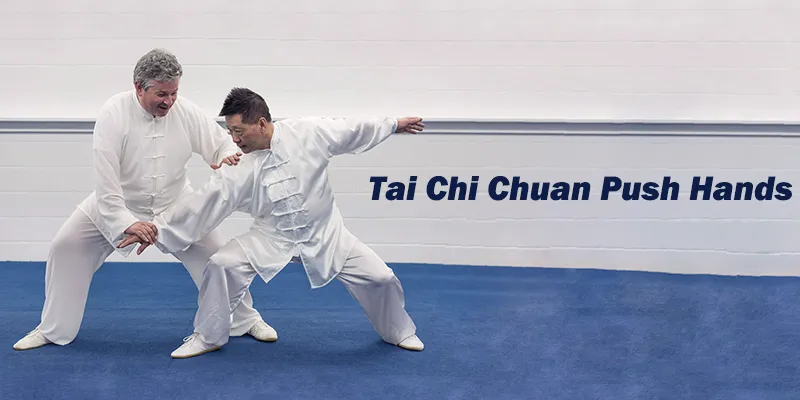 Tai Chi Chuan Push Hands