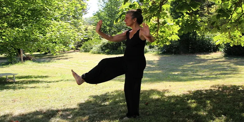 Chen Tai Chi Wellness Program
