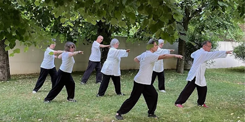 Qi Gong vs. Tai Chi: Complexity and Learning