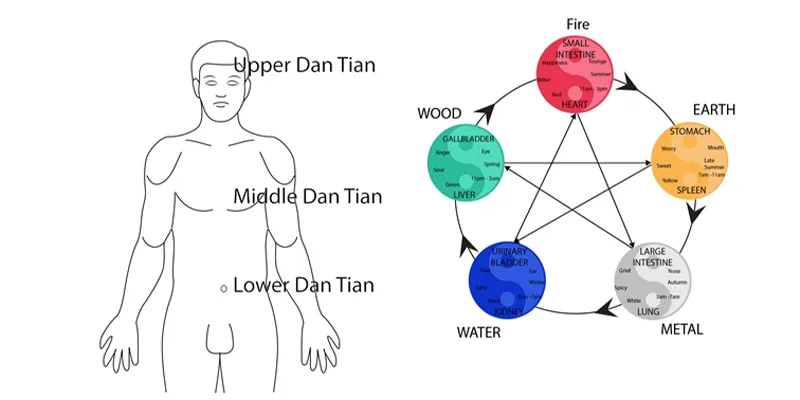 Qi Gong 5 Organ Colors Practice Energy Flow
