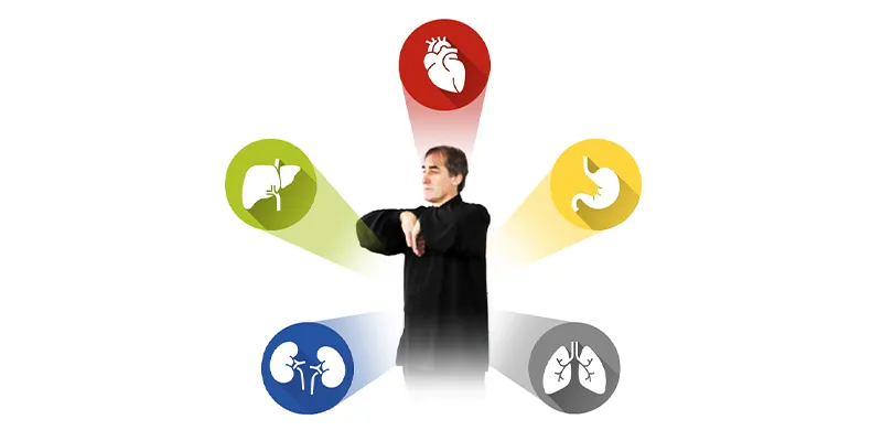 Qi Gong 5 Organ Colors Practice: Five Elements
