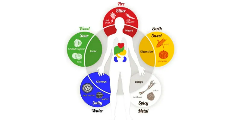 Qi Gong 5 Organ Colors