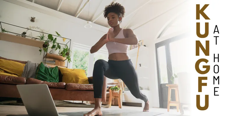 Practicing Kung Fu Alone