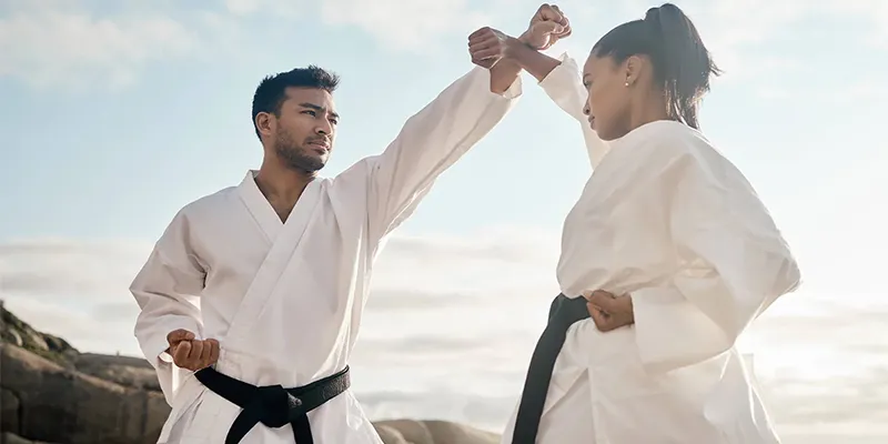 Study Martial Arts Professional Guide