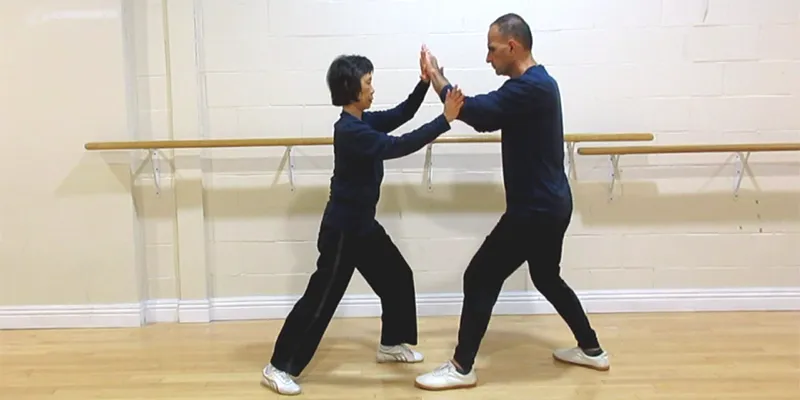 Tai Chi Push Hands Mechanism